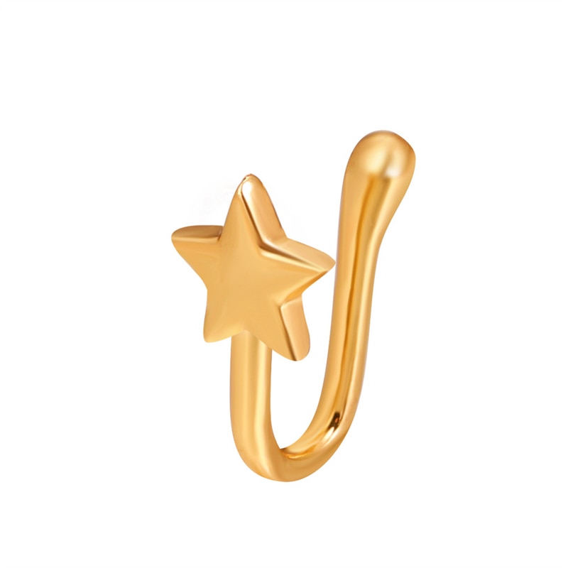 Heart Star Crown Nose Piercing